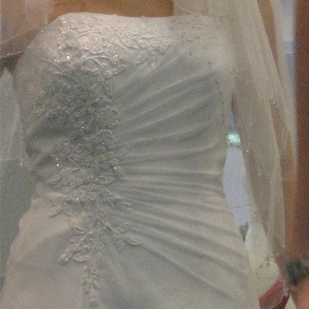 David’s Bridal Wedding Dress - Picture 8 of 8